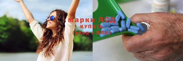 винт Алзамай