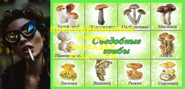 винт Алзамай