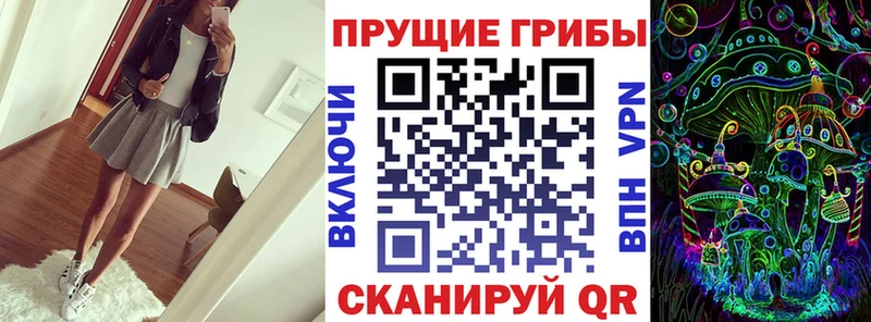 Псилоцибиновые грибы мицелий  Купить закладки  Лермонтов 